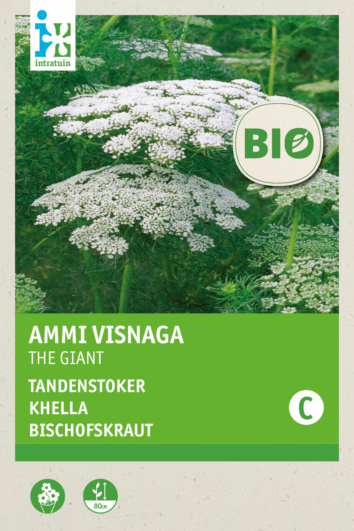 Biologische Intratuin bloemenzaad Fijn Akkerscherm (Ammi visnaga 'The Giant')