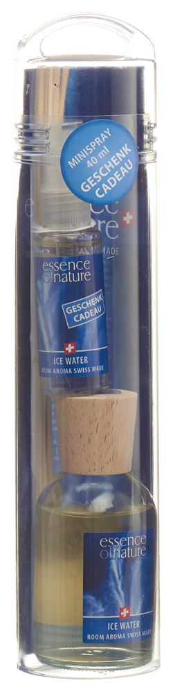 ESSENCE OF NATURE Classic Room Aroma Sticks<br>100 ml, Ice Water