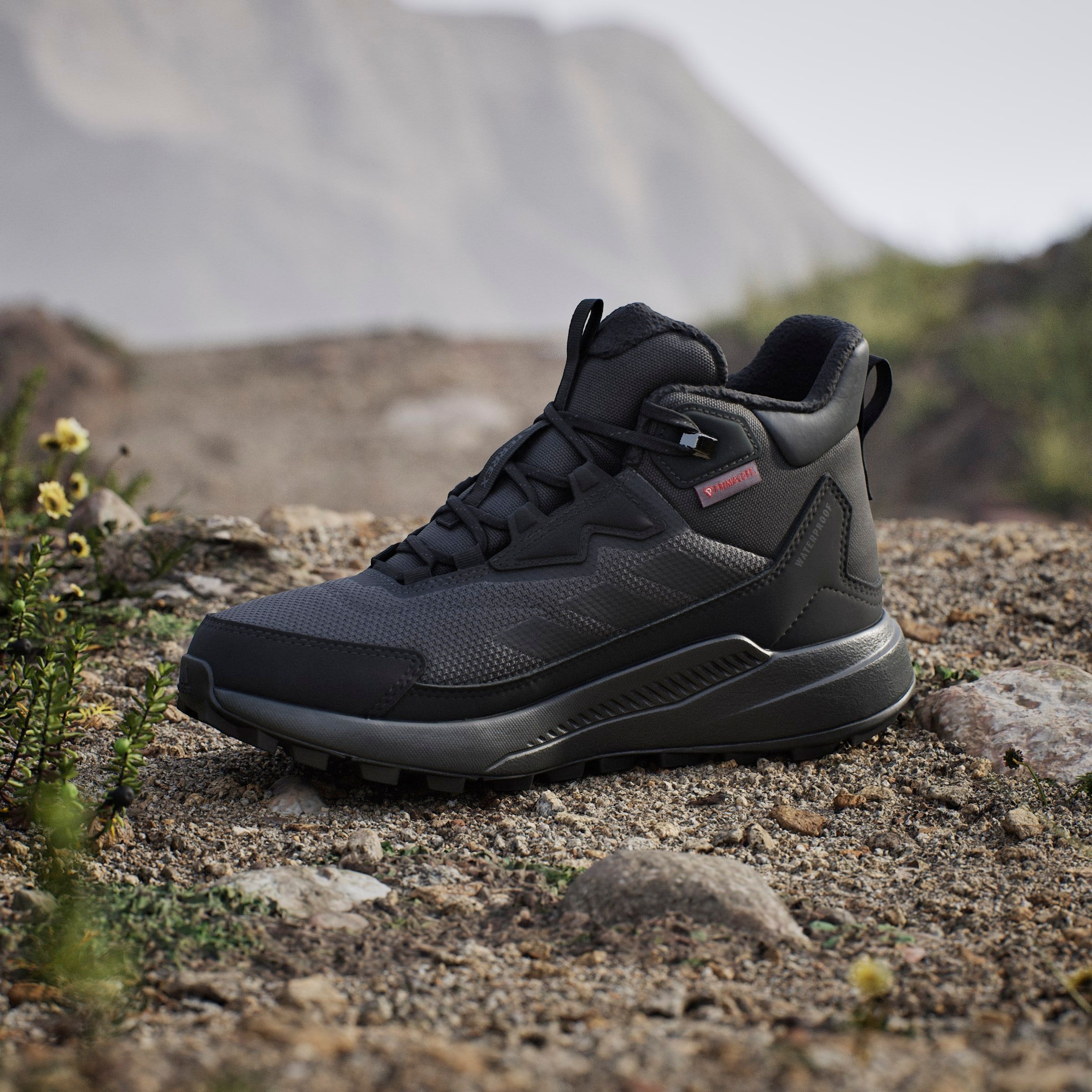 adidas TERREX Winterstiefel »TERREX ANYLANDER CLIMAWARM+«