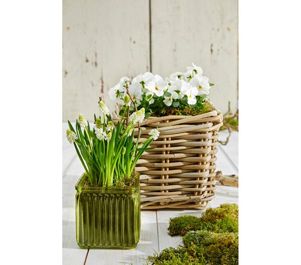 Van der Leeden Rattan-Topf, quadratisch,