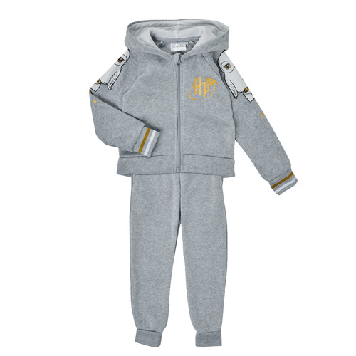 TEAM HEROES  - ENSEMBLE HARRY POTTER - Gris