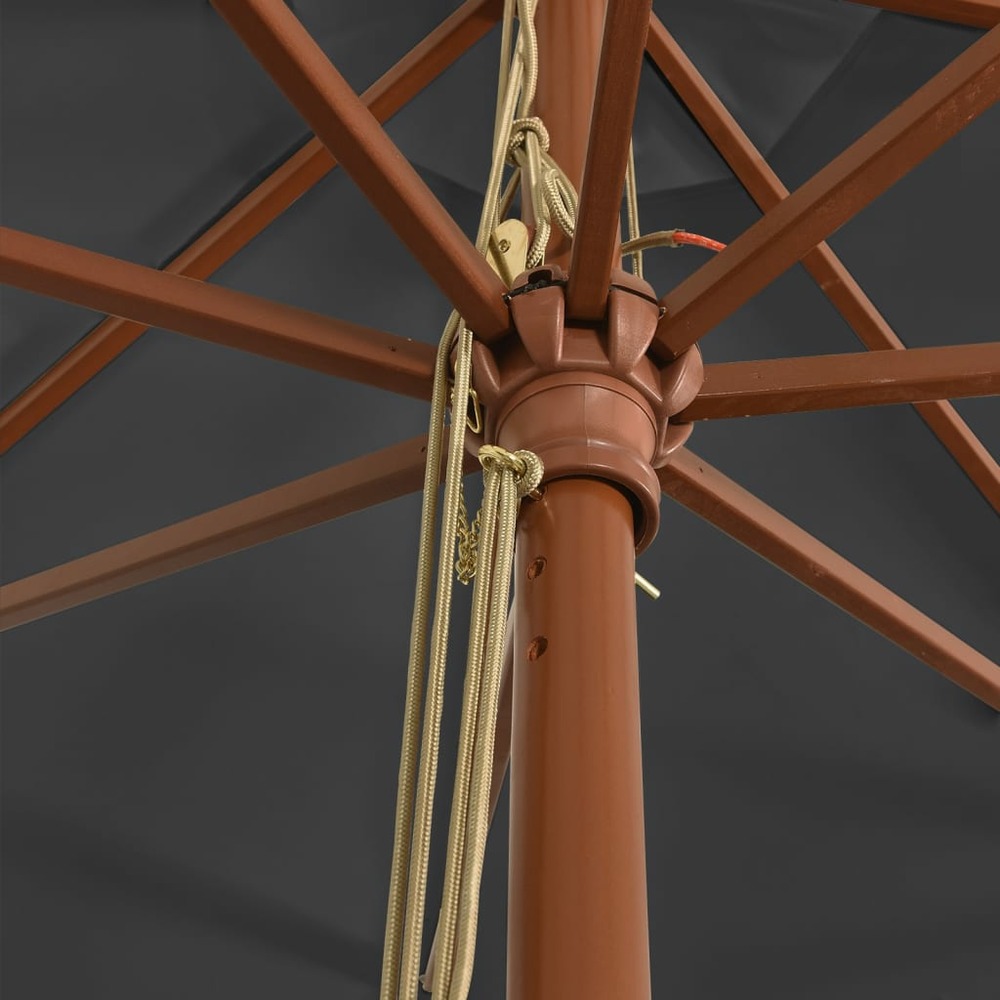 Parasol de jardin avec mât en bois 400 x 273 cm noir