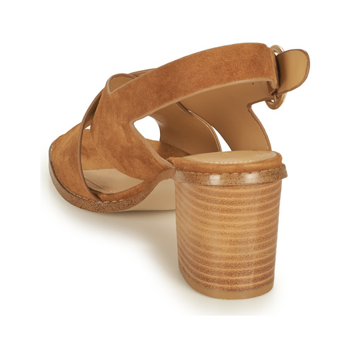 Minelli - CASIMIERA - Marron