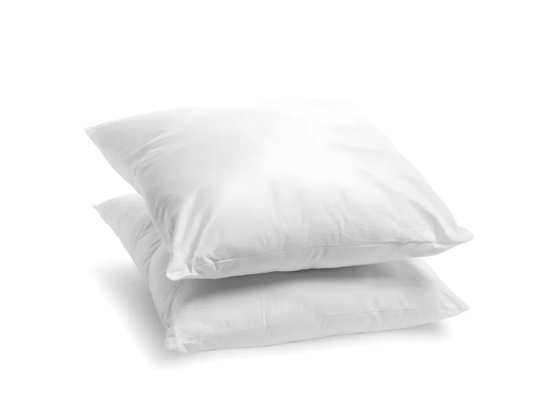Lot de 2 Oreillers Anti-acariens - Confort Moelleux- 60x60cm