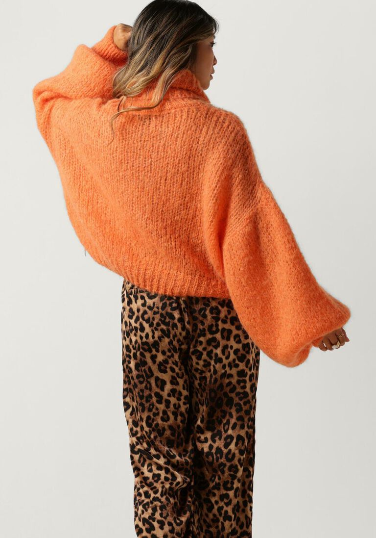 AMERICAN DREAMS oranje american dreams coltrui pepper roll neck cropped