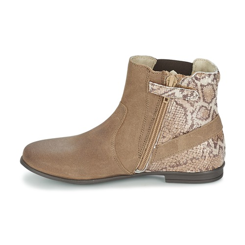 Aster - DESIA - Taupe / Imprimé