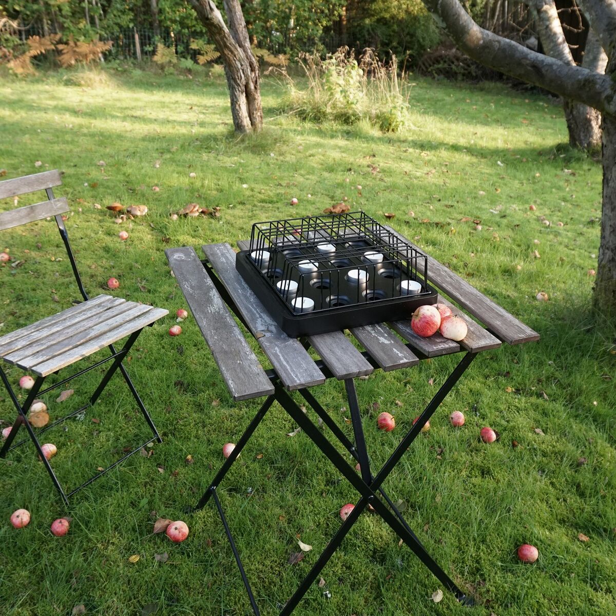 Nett for stumpastaken, stor