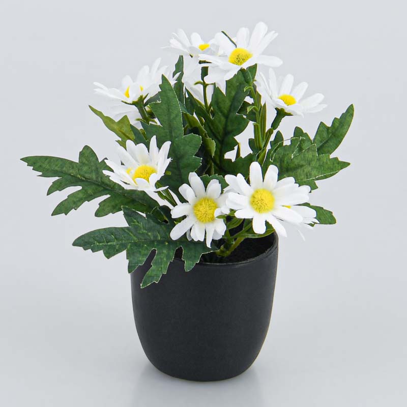 Mini composition de fleurs daisy