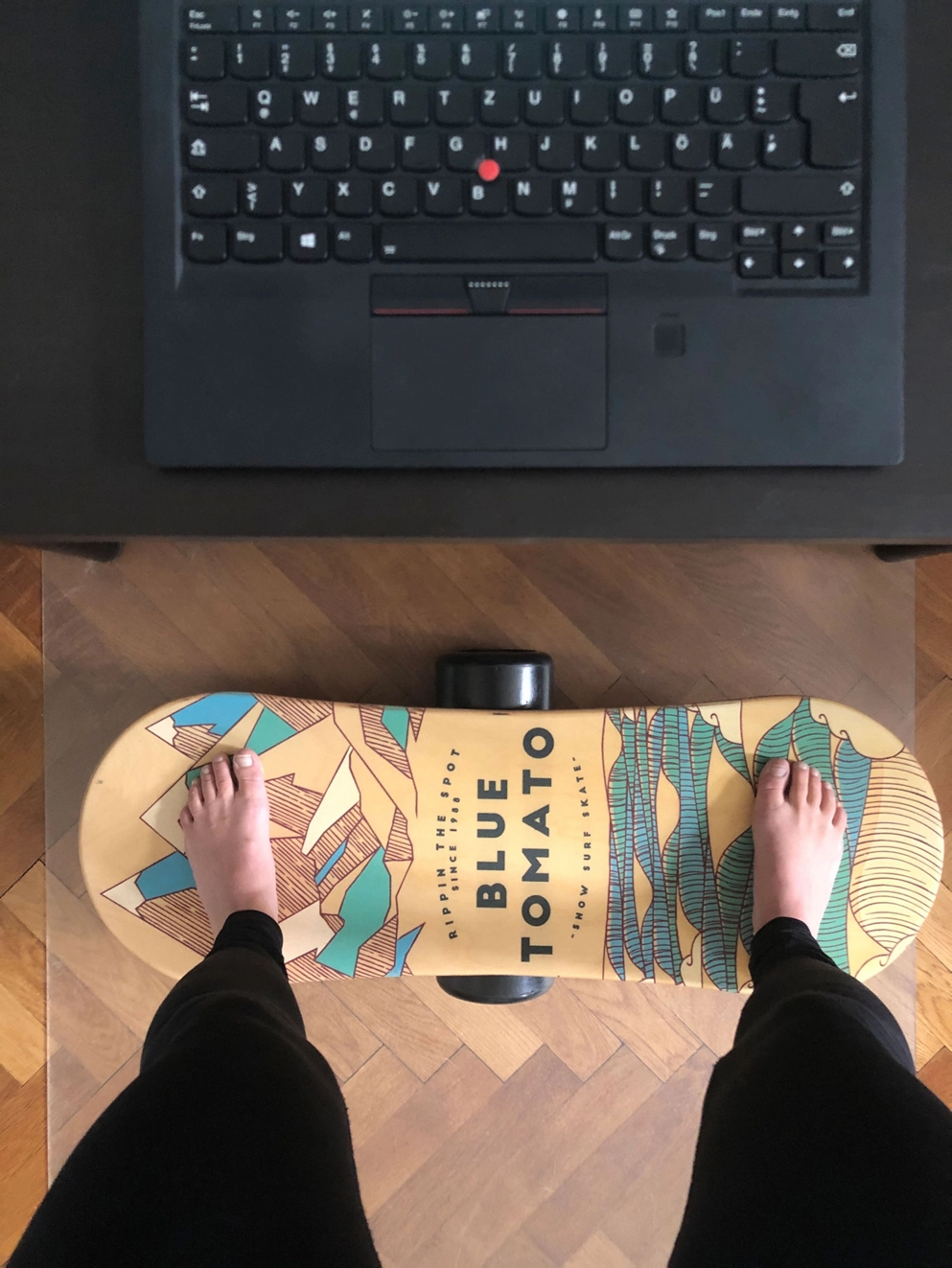 Blue Tomato All Season Balance Board uni