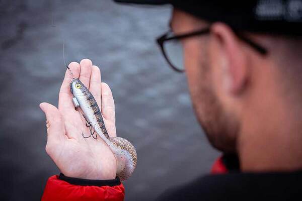 Shad armé Fox Rage Pro Grub 16cm/6.3