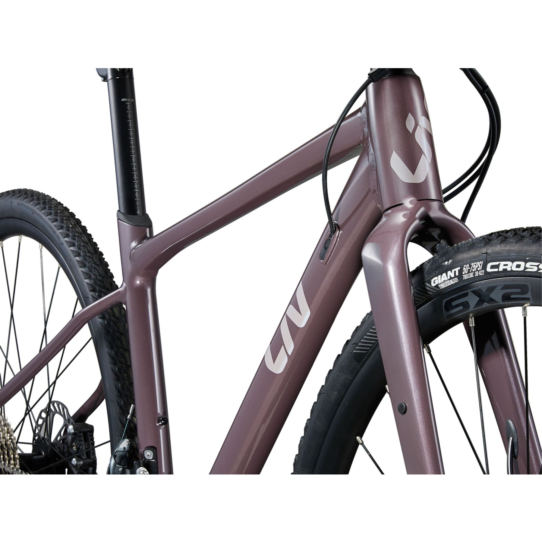 Liv Devote 1 2025