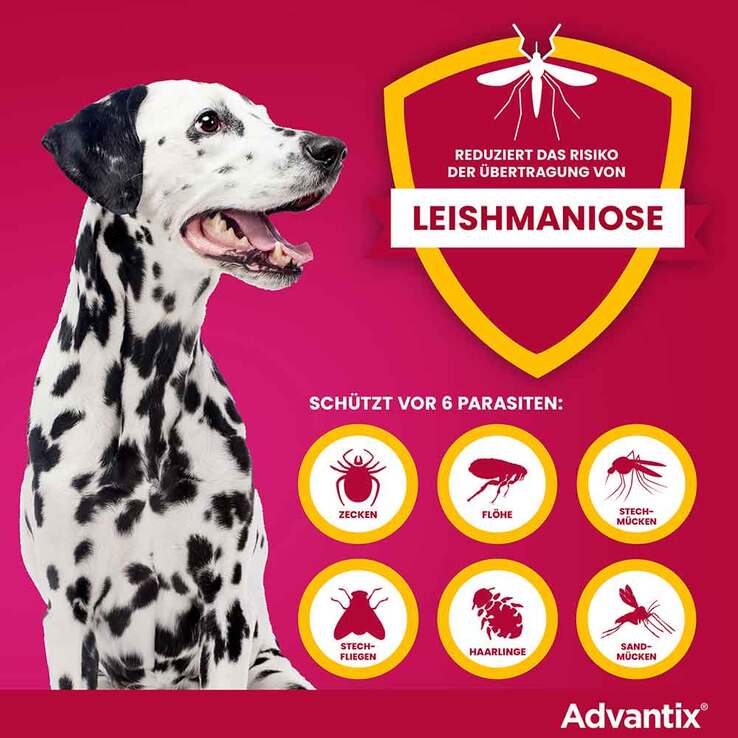 Advantix Spot-on Hund 10 - 25 kg Lösung, 4 St