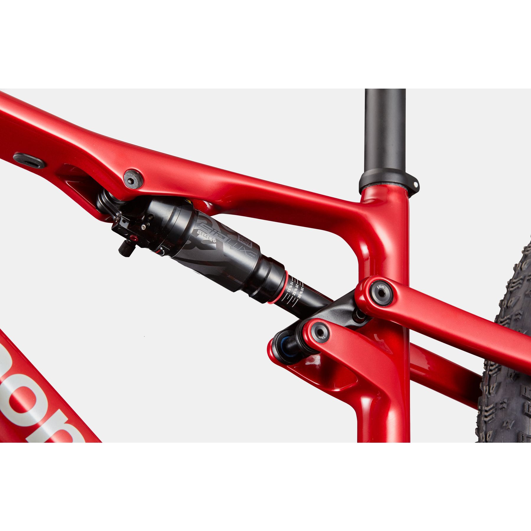 Cannondale Scalpel Carbon 4 2025