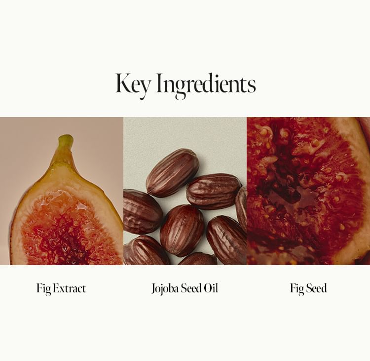 anillO - Fig Whisky Discovery Body Set