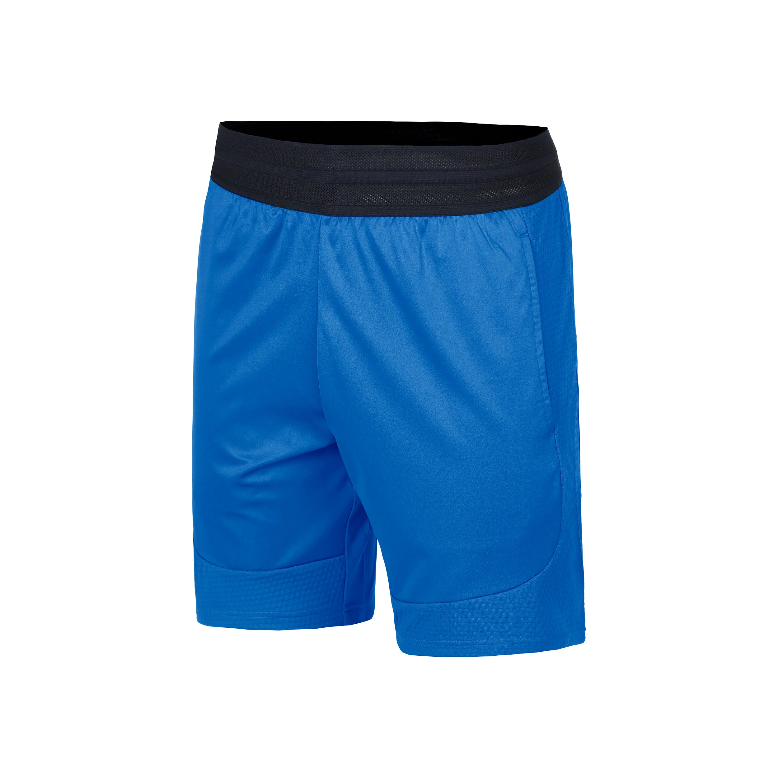 Lacoste Shorts Hommes - Bleu