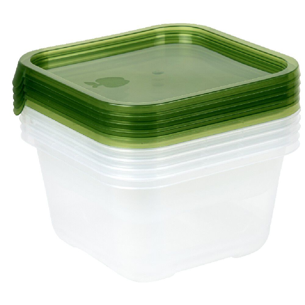 Boîte alimentaire transparente et verte x5
