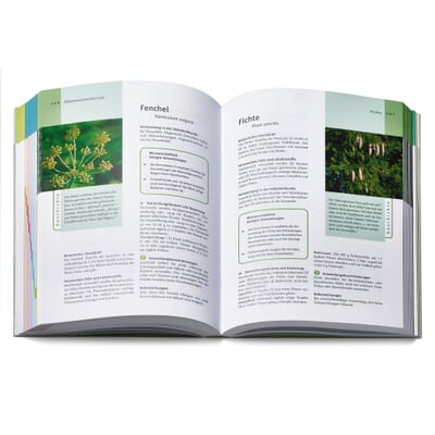 Grüne Apotheke. Das Standardwerk zur Pflanzenheilkunde Dr. Jörg Grünwald und Christof Jänicke