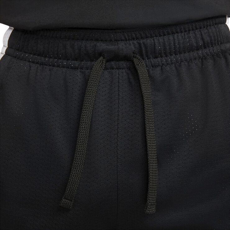 Nike Jordan Sport Dri Fit Mesh Traeningsshorts Sort