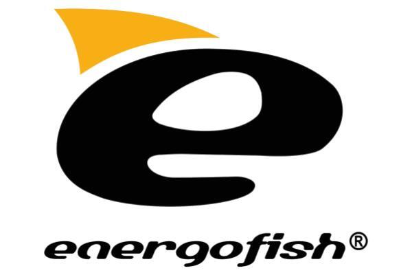 Support de Canne Energo Kamasaki