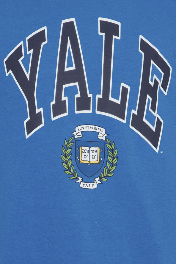 Blend Sweatshirt Victoria blue