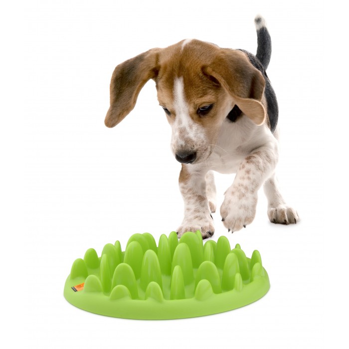 Gamelle anti-glouton Northmate Green