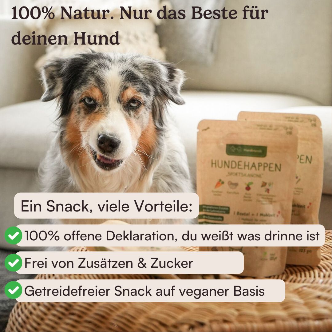 Hunderunde Hundehappen Morgenmuffel