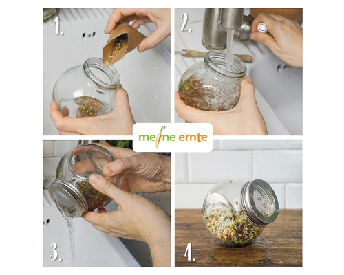Kiempot mijn oogst incl. startersportie biologische zaden