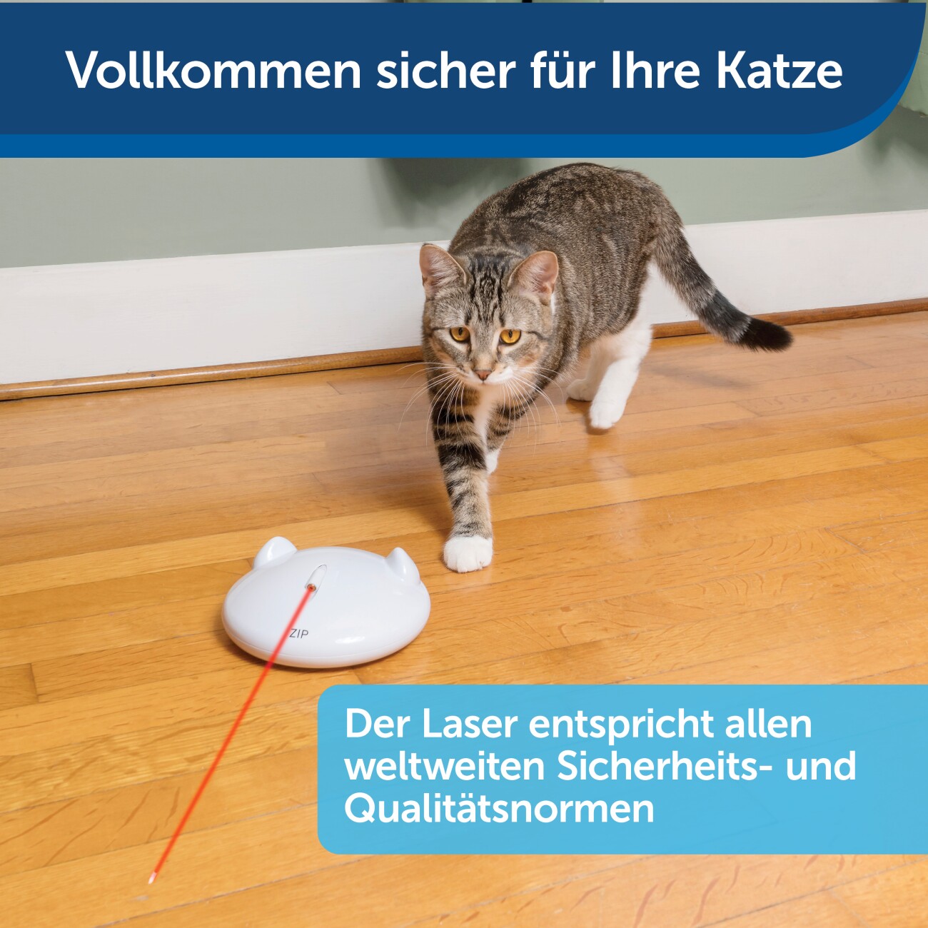 PetSafe Automatisches Laserspielzeug für Katzen ZIP