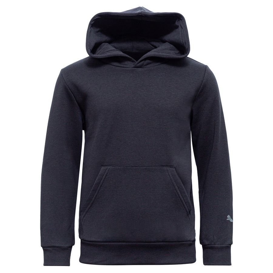 PUMA Sweat à Capuche Nordics Blank - Noir/Cool Dark Gray Enfant