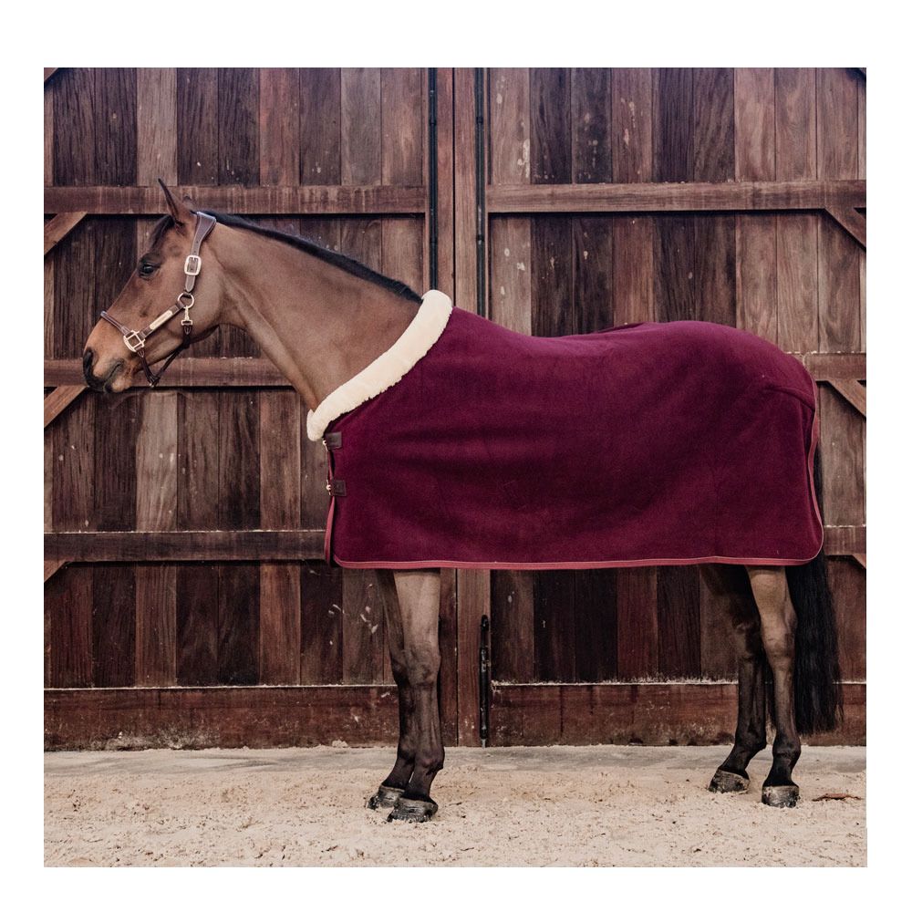Kentucky SHOW HEAVY - Chemise séchante bordeaux