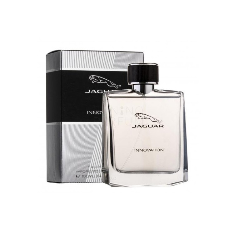 Jaguar Eau de Toilette für Herren Innovation 100 ml