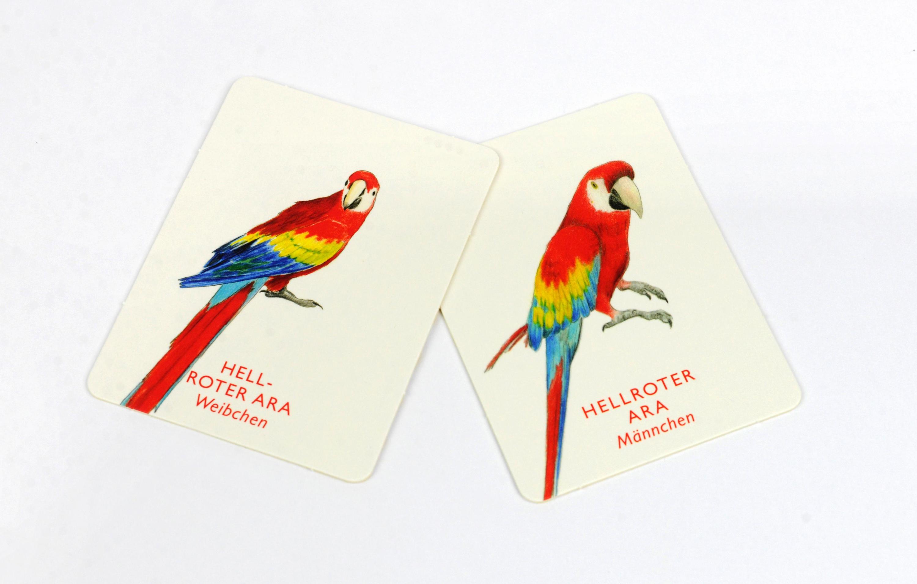Vogelpaare (Spiel)