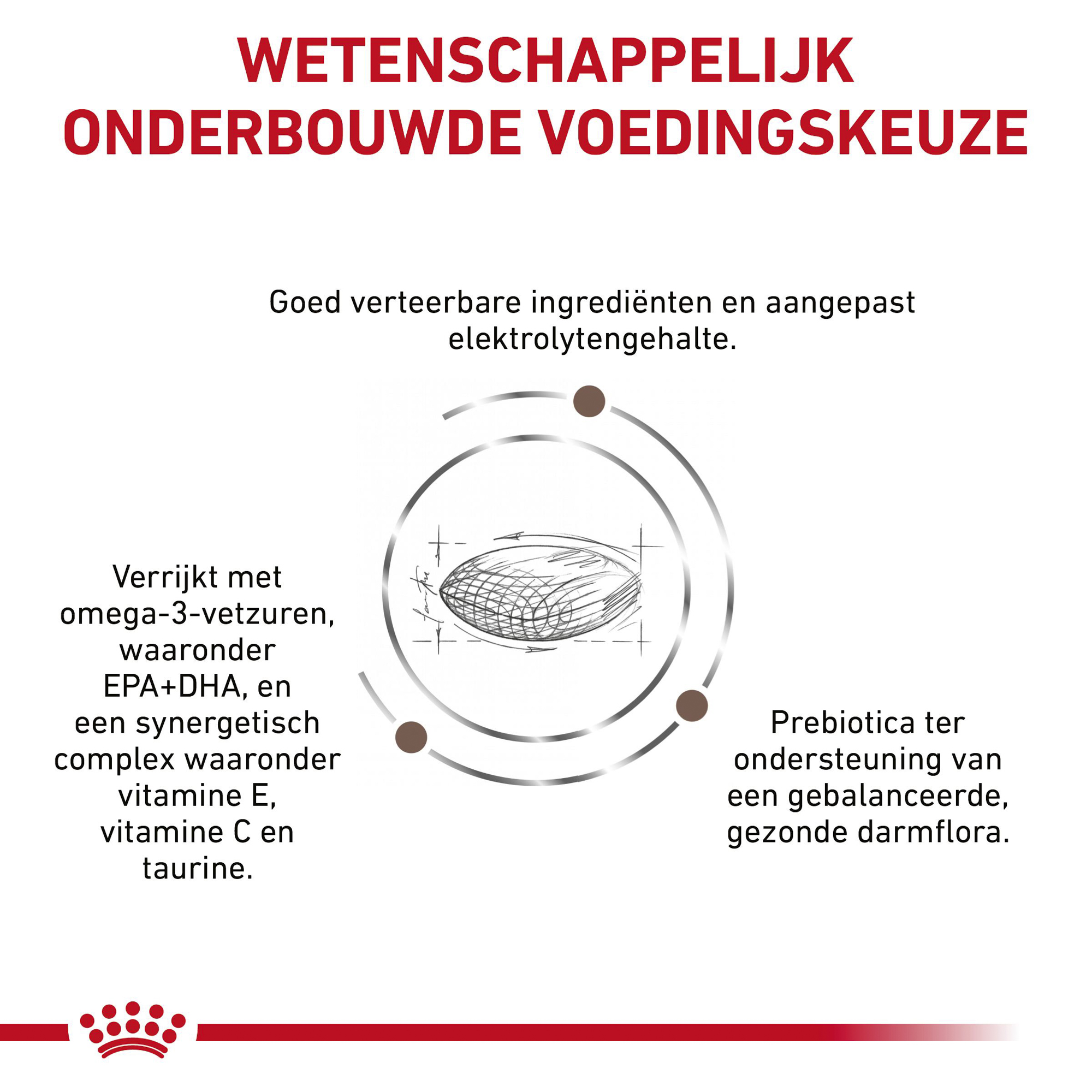 Royal Canin Gastrointestinal Hairball Kat