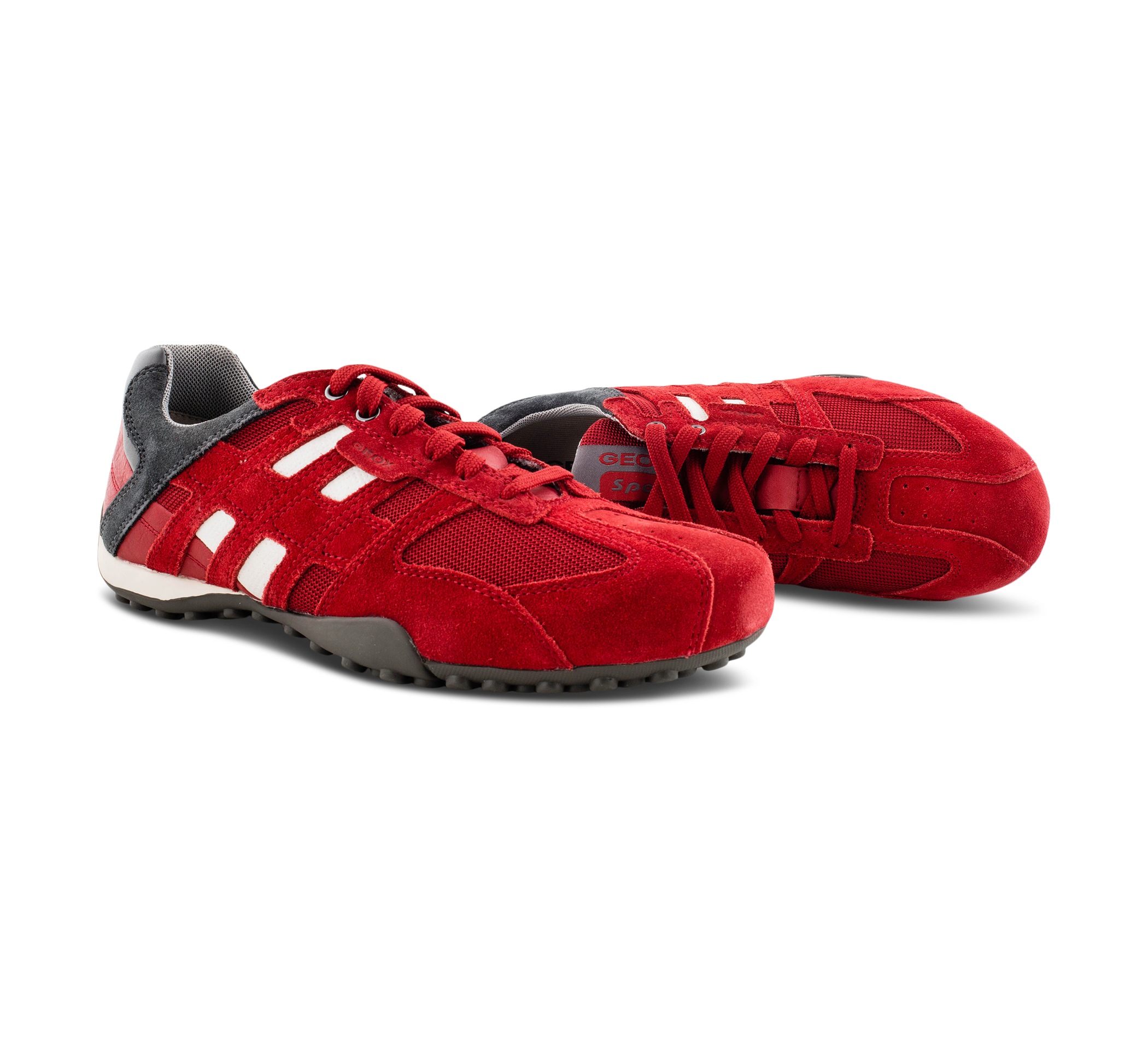 Geox Snake - Sneaker low rot