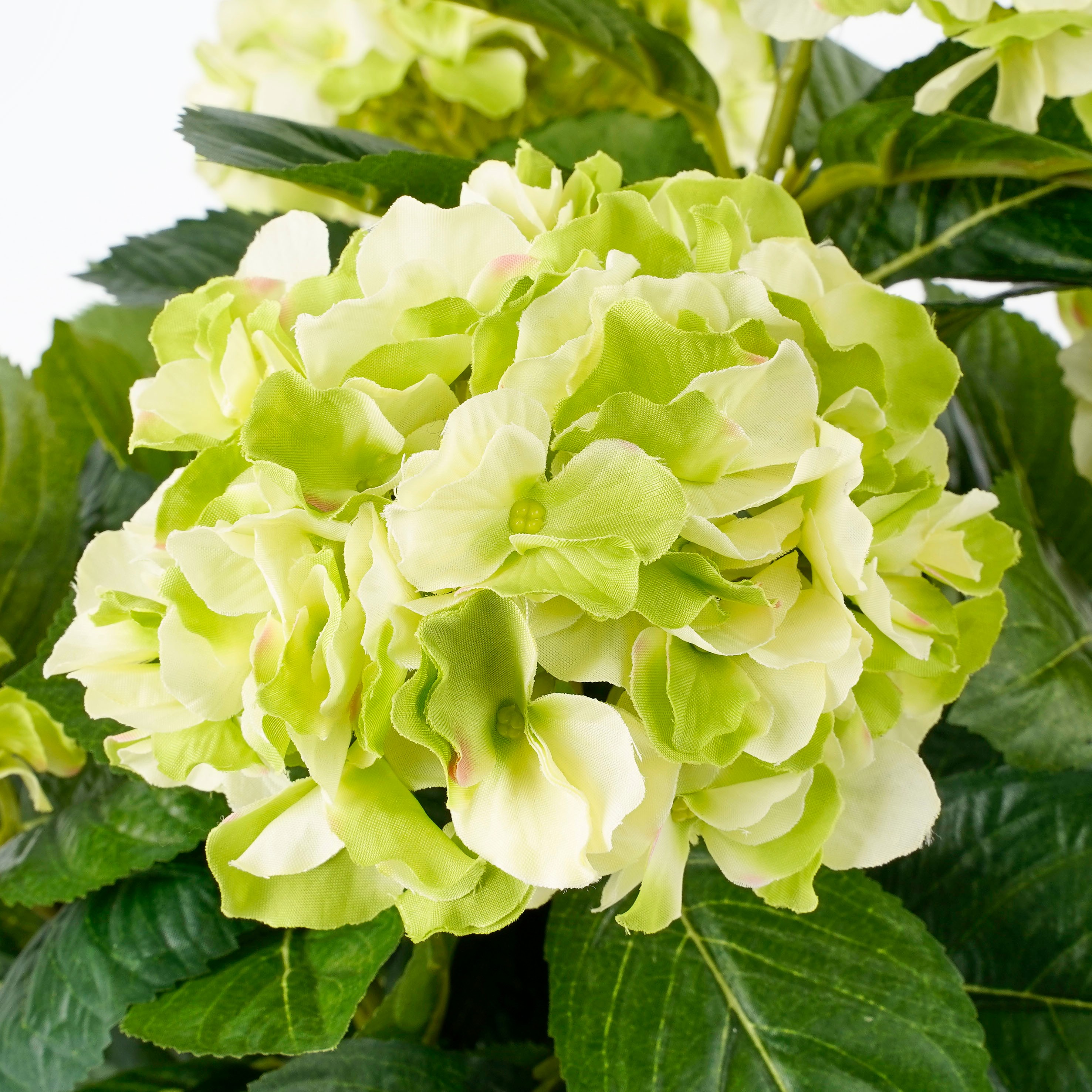 Mica decorations - hortensia artificielle vert en pot h45
