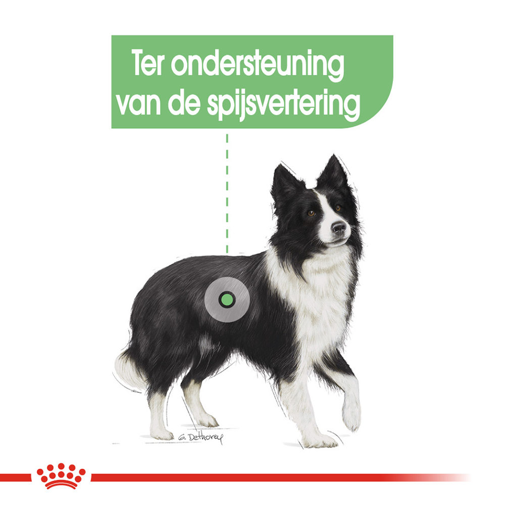 Royal Canin Medium Digestive Care - Hondenvoer