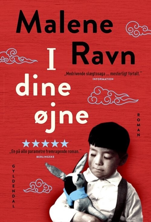 I Dine Øjne - Malene Ravn - Bog