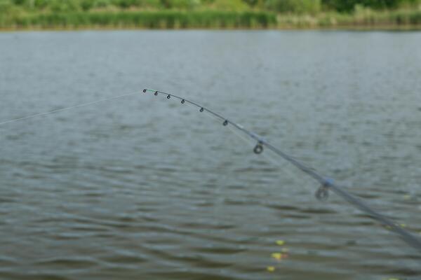 Canne Ultimate Method Feeder 3.00m (-50g)