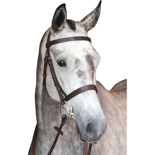 Cabeçada de couro modelo Collegiate Hunt para cavalos, marrom