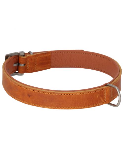Adori Halsband Vetleder Gevoerd Cognac&Cognac - Hondenhalsband