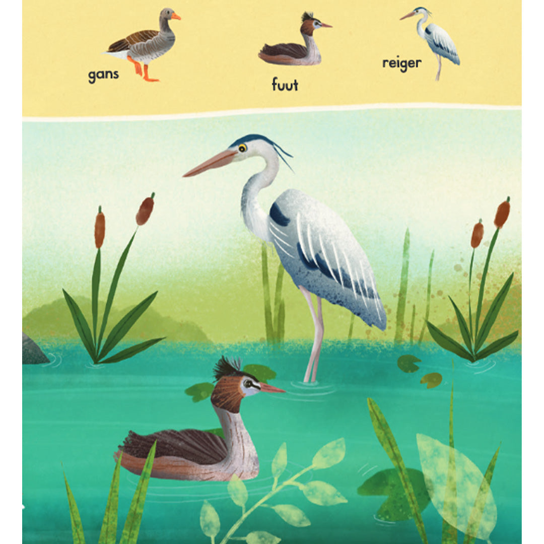 uitgeverij lemniscaat welke vogels zie jij?