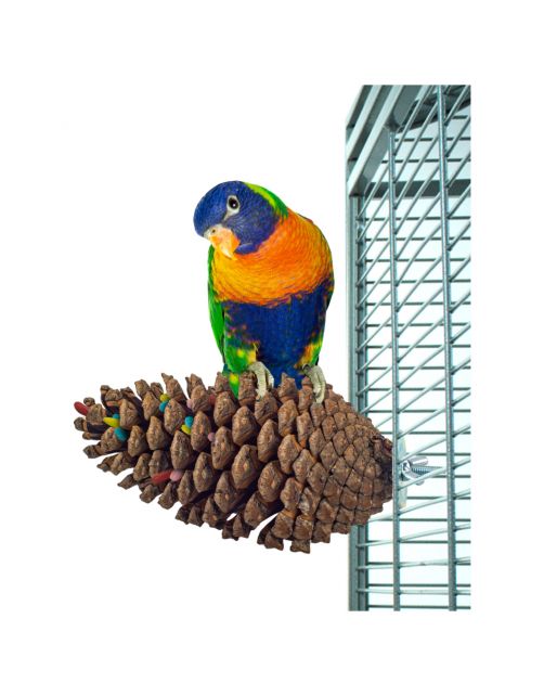 Back Zoo Nature Foraging Pine Cone - Vogelspeelgoed - per stuk