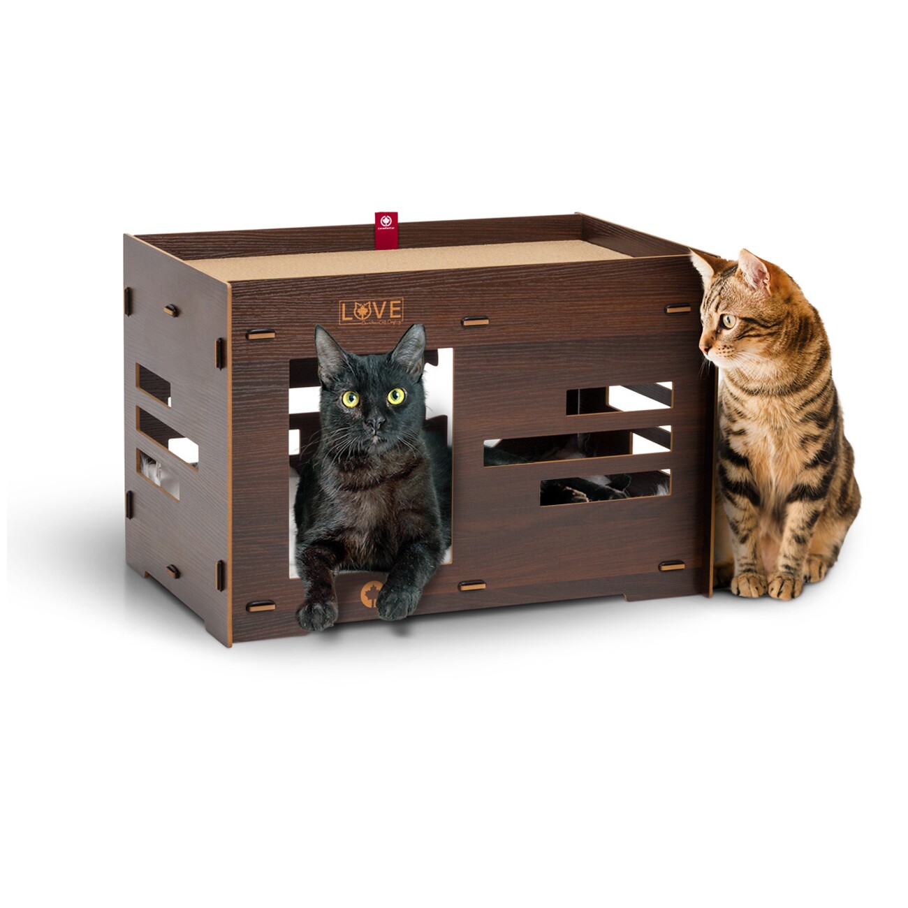 Canadian Cat Company Katzenhaus Petitot