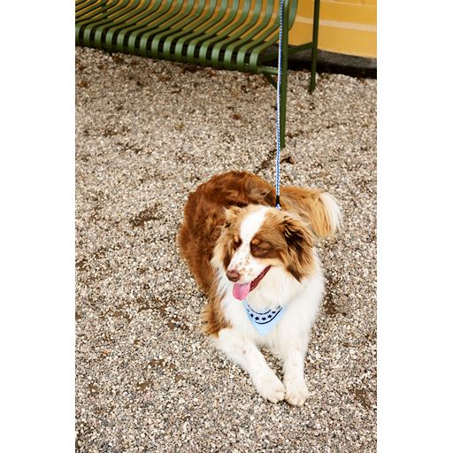 HAY Dog Braided Hundesnor, Blue/Off White