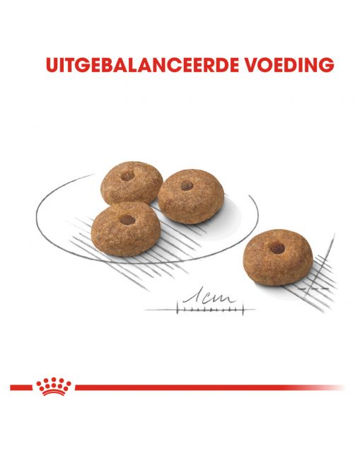 Royal Canin Sterilised Mini - Hondenvoer