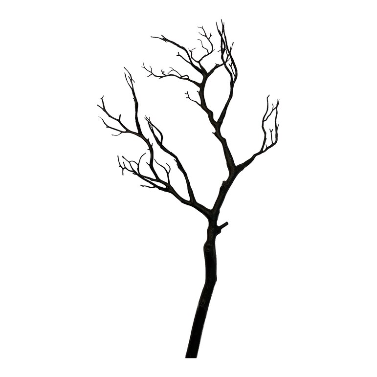 schwarz, L 75 cm