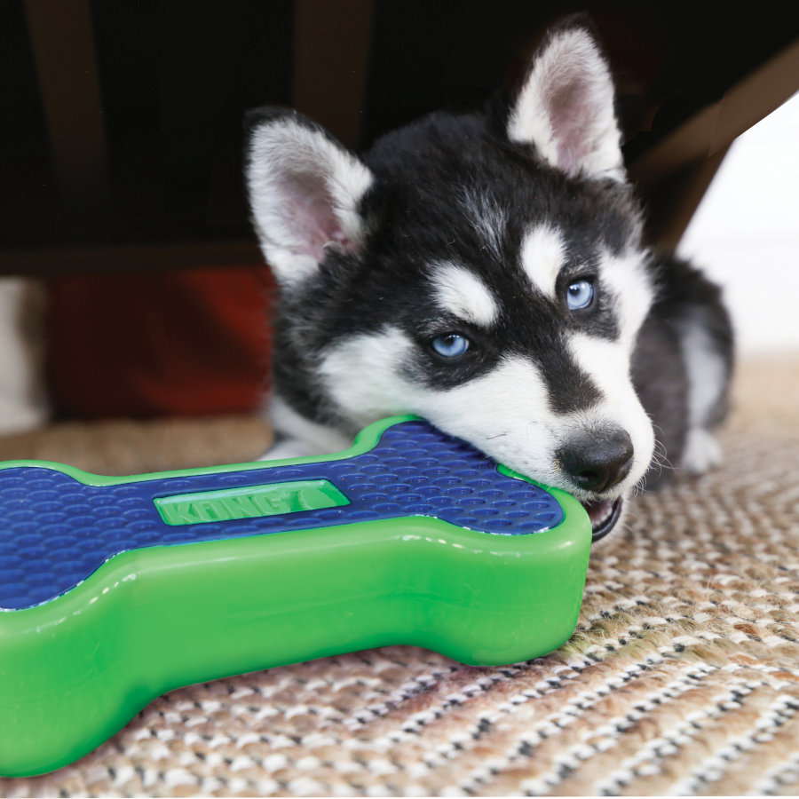 Kong Eon Hueso Mordedor para perros