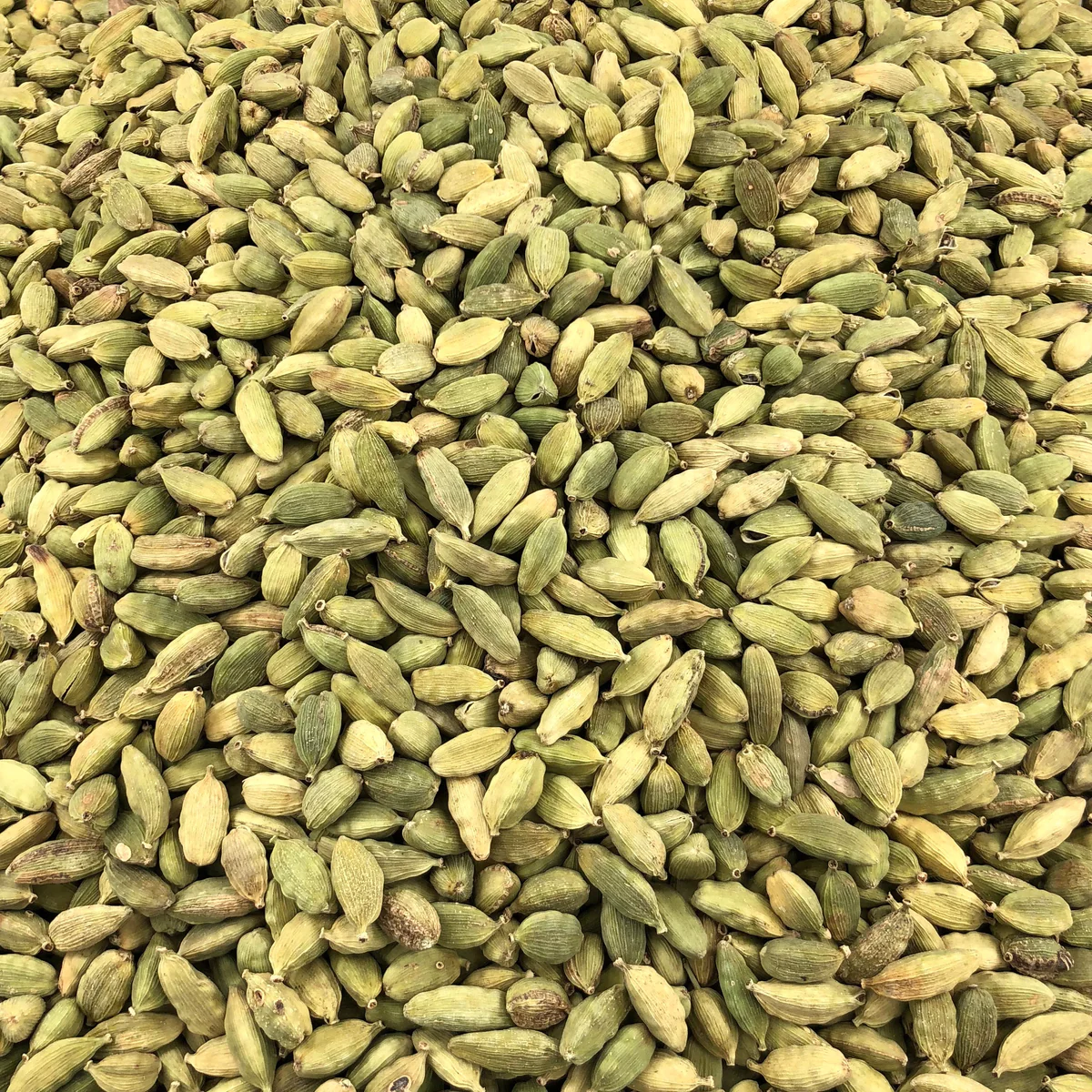 Cardamome fruit entier Bio en Vrac 10kg Vrac Bio