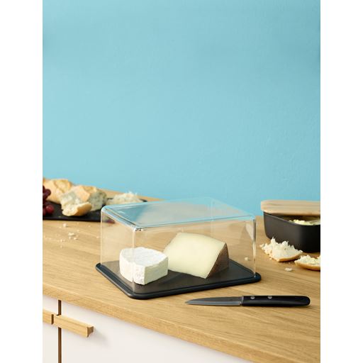 RIG-TIG by Stelton Contain-It Osteboks
