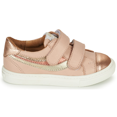GBB - CARLOTA - Rose